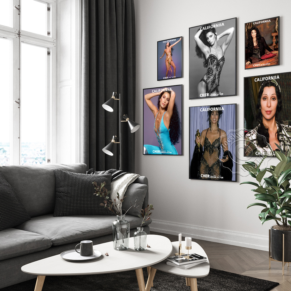 Cher Sexy Music Star Art Print – обзор и цена Vintage Collectible Magazines