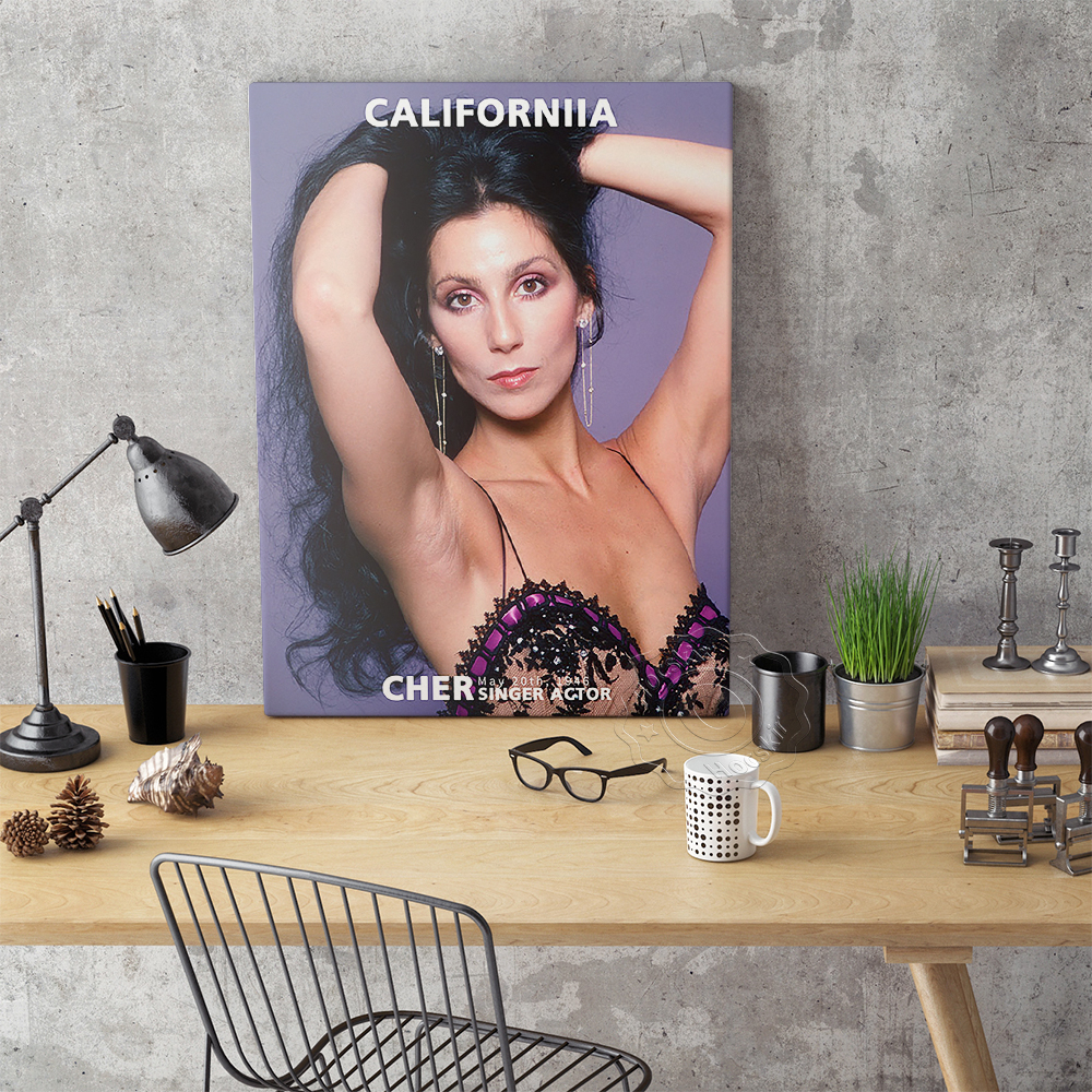 Cher Sexy Music Star Art Print – обзор и цена Vintage Collectible Magazines